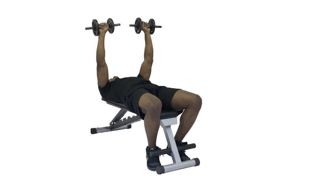 Dumbbell Bench Press — demonstration 2