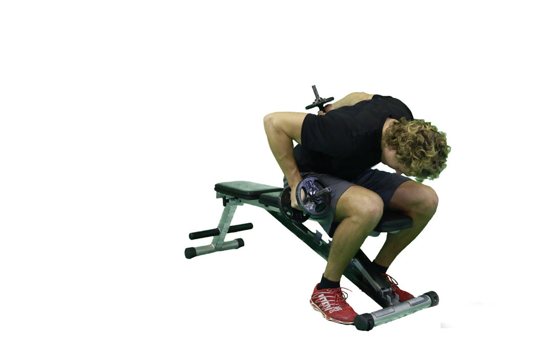 Dumbbell Alternating Bent-Over Kickback — demonstration 2