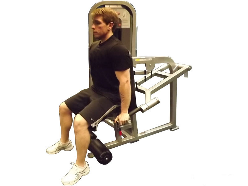 Machine Seated Tricep Dip — demonstration 2