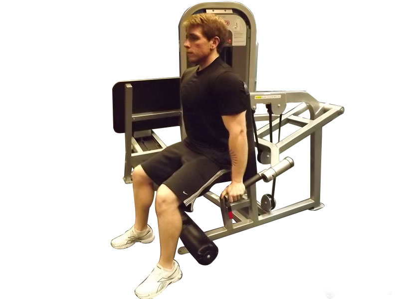 Machine Dip — demonstration 2