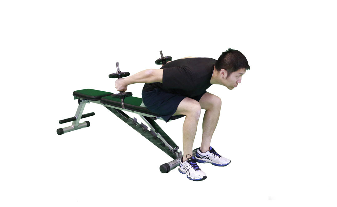Extension des triceps penchée assise avec haltères — démonstration 2