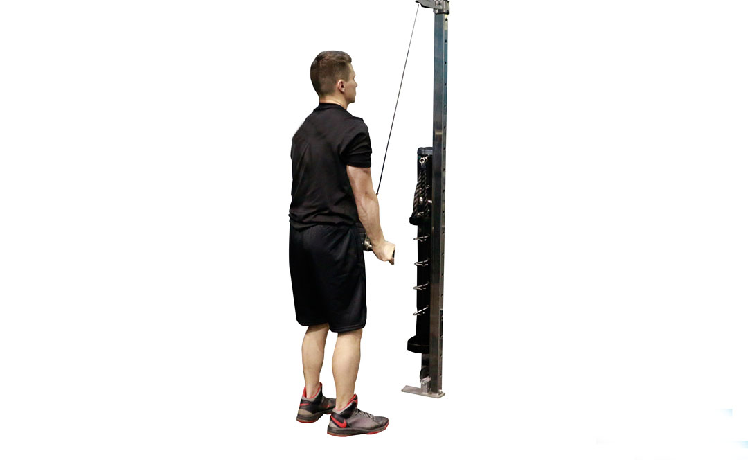 Extension des Triceps à la Poulie en Prise Inversée — démonstration 2