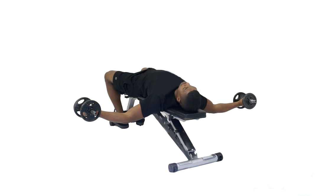 Dumbbell Fly — demonstration 2
