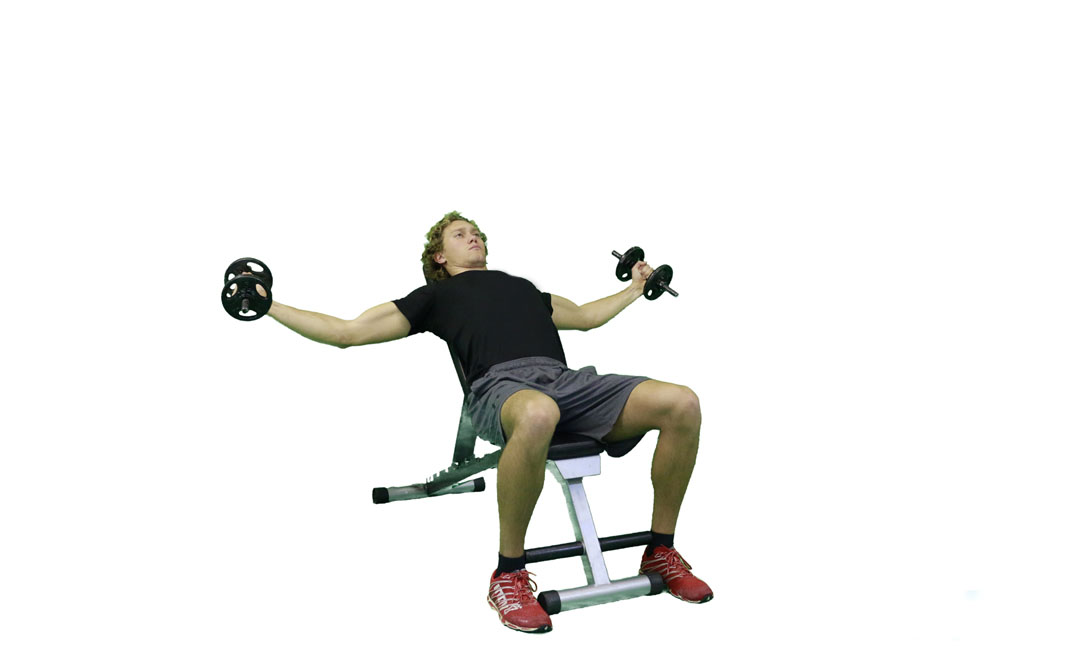 Dumbbell Incline Fly — demonstration 2