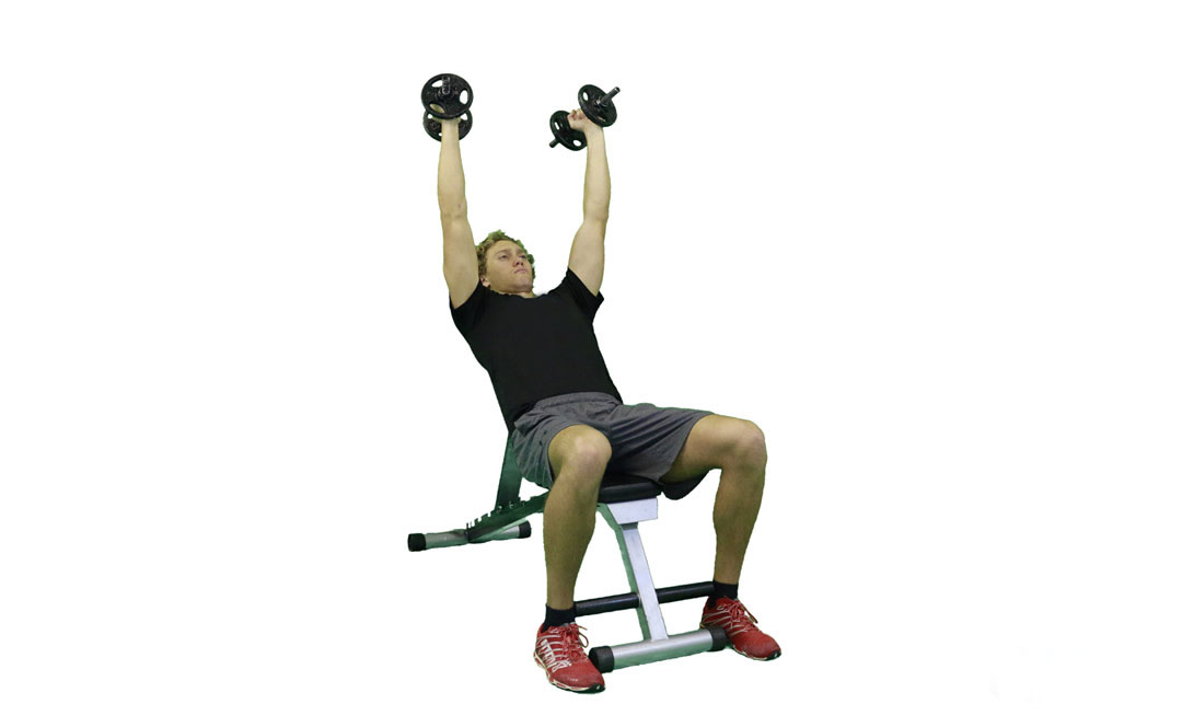 Dumbbell Incline Bench Press Hammer Grip — demonstration 2