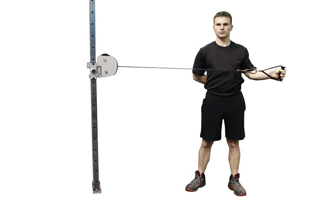 Cable External Rotation — demonstration 2