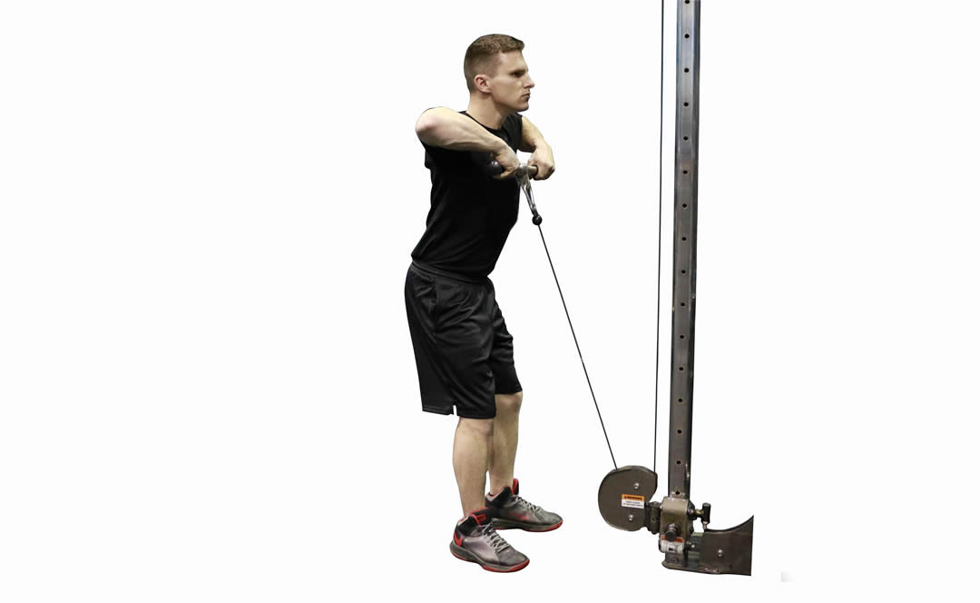 Cable Upright Row — demonstration 2