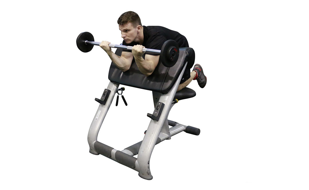 Barbell Preacher Curl — demonstration 2