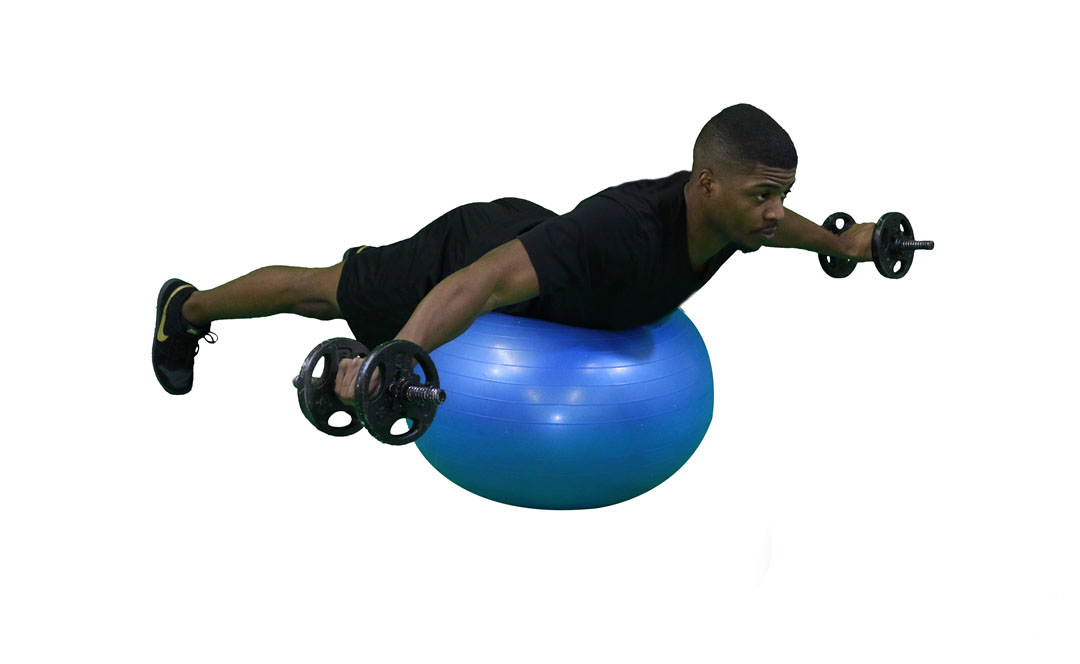 Dumbbell Posterior Fly on Stability Ball — demonstration 2