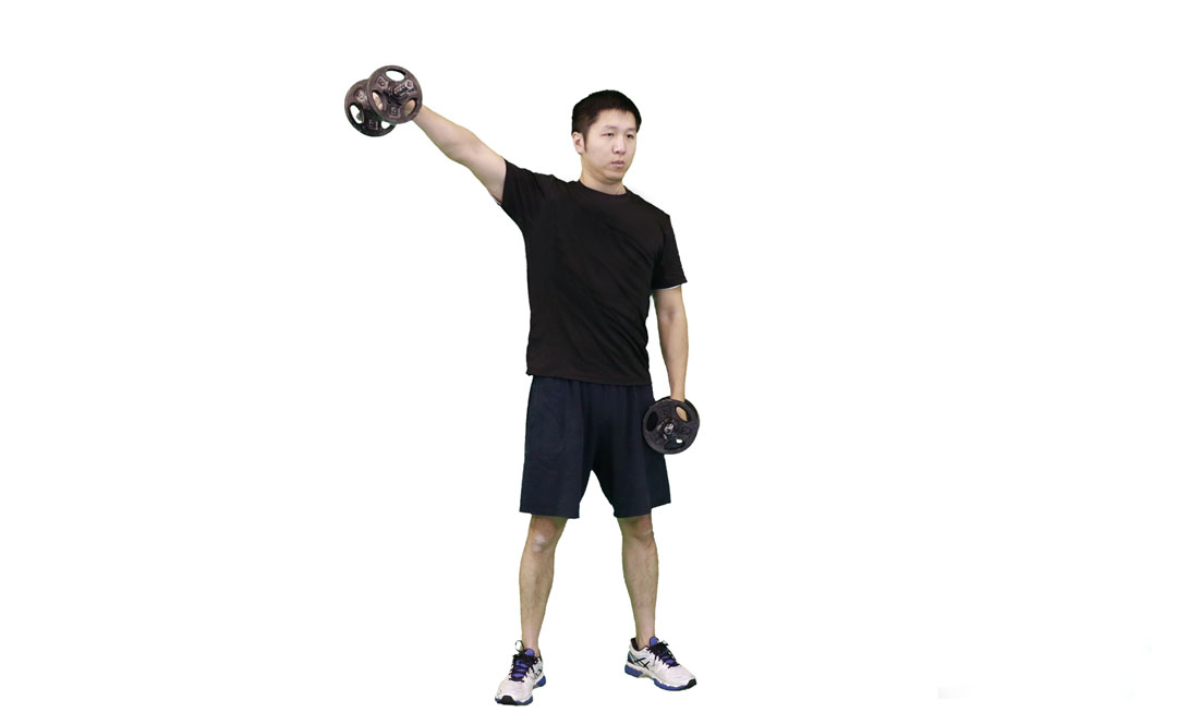 Dumbbell Standing Alternating Lateral Raise — demonstration 2
