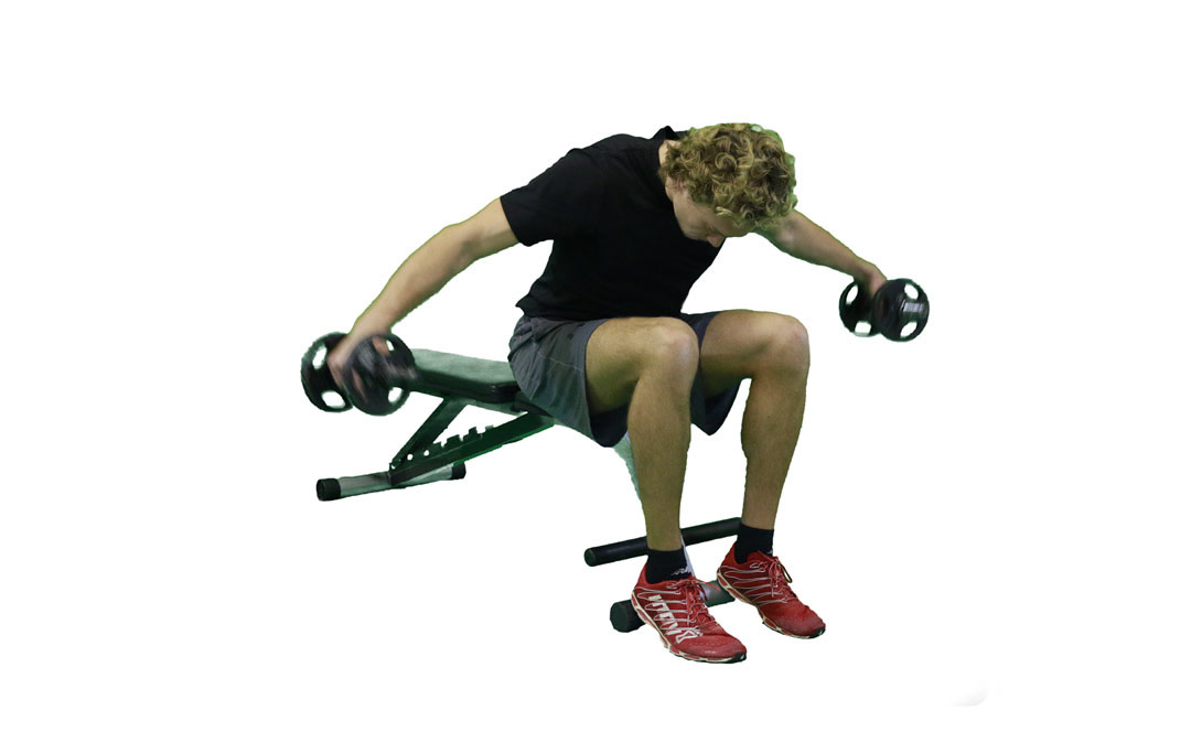 Dumbbell Seated Bent-Over Reverse Fly — demonstration 2