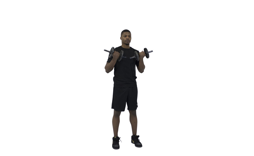 Dumbbell Bicep Curl — demonstration 2