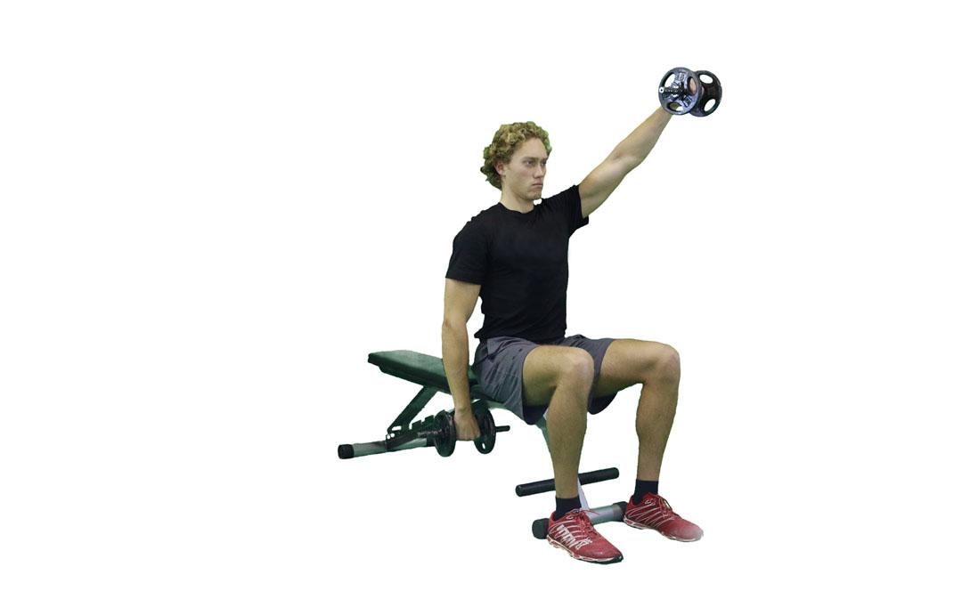 Dumbbell Seated Alternating Front Raise — demonstration 2
