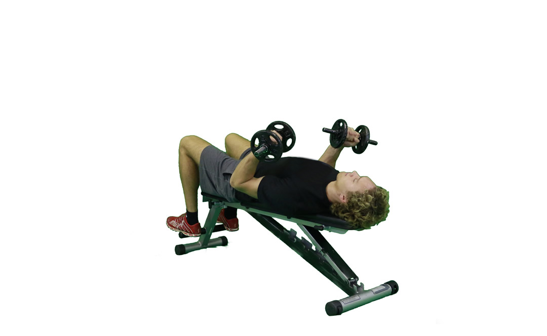 Dumbbell Bicep Curl Supine — demonstration 2