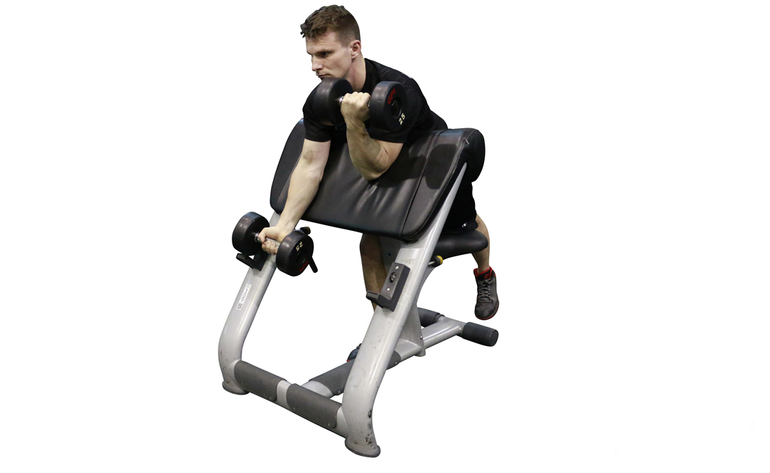 Dumbbell Alternating Preacher Curl — demonstration 2