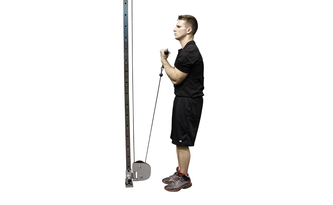 Cable Bicep Curl Close Grip — demonstration 2
