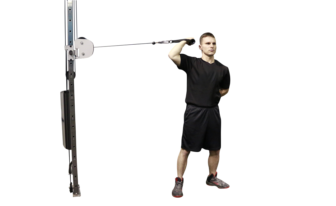 Cable One-Arm High Curl — demonstration 2