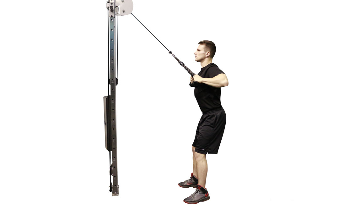 Kablo Halatla Deltoid Row — gösterim 2