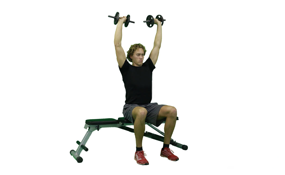 Dumbbell Seated Shoulder Press — demonstration 2
