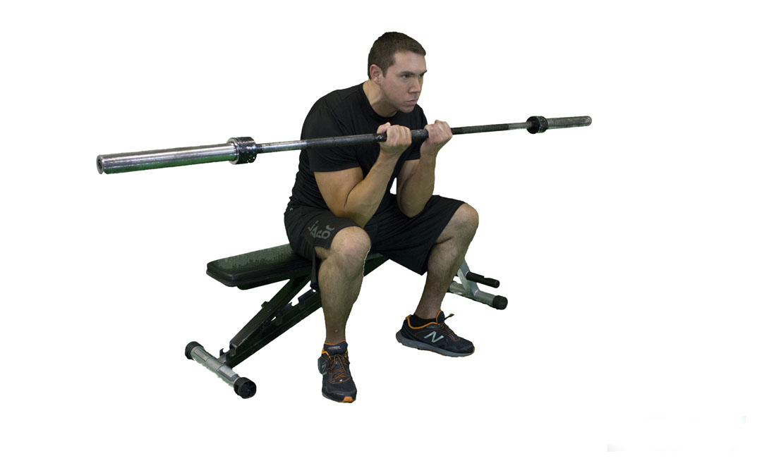 Barbell Concentration Curl — demonstration 2