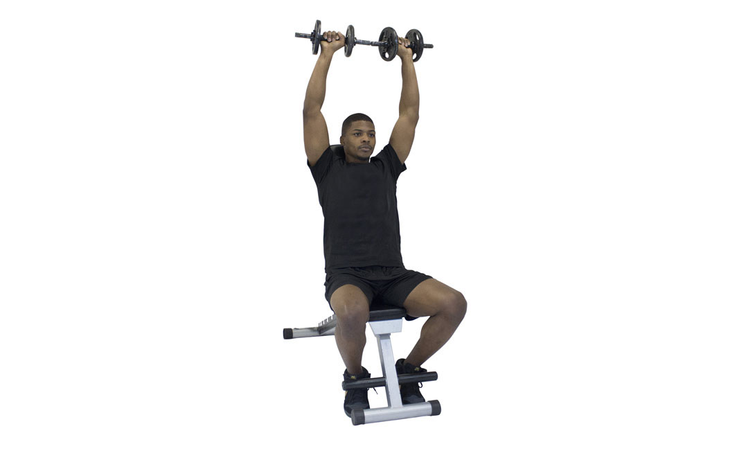 Dumbbell Seated Arnold Press — demonstration 2
