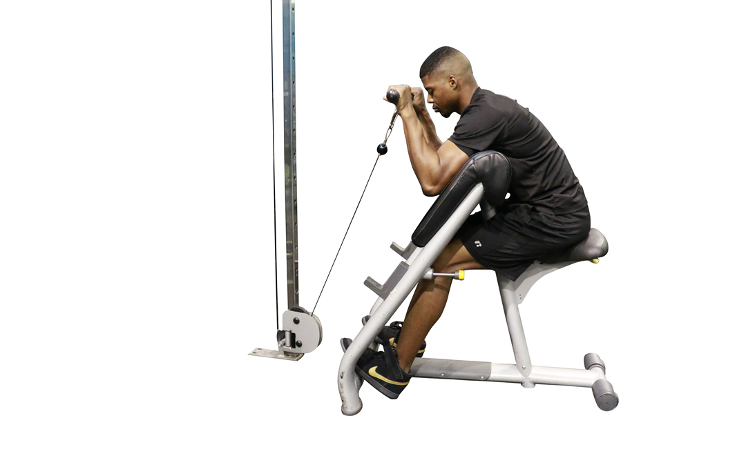 Cable Reverse Preacher Curl — demonstration 2