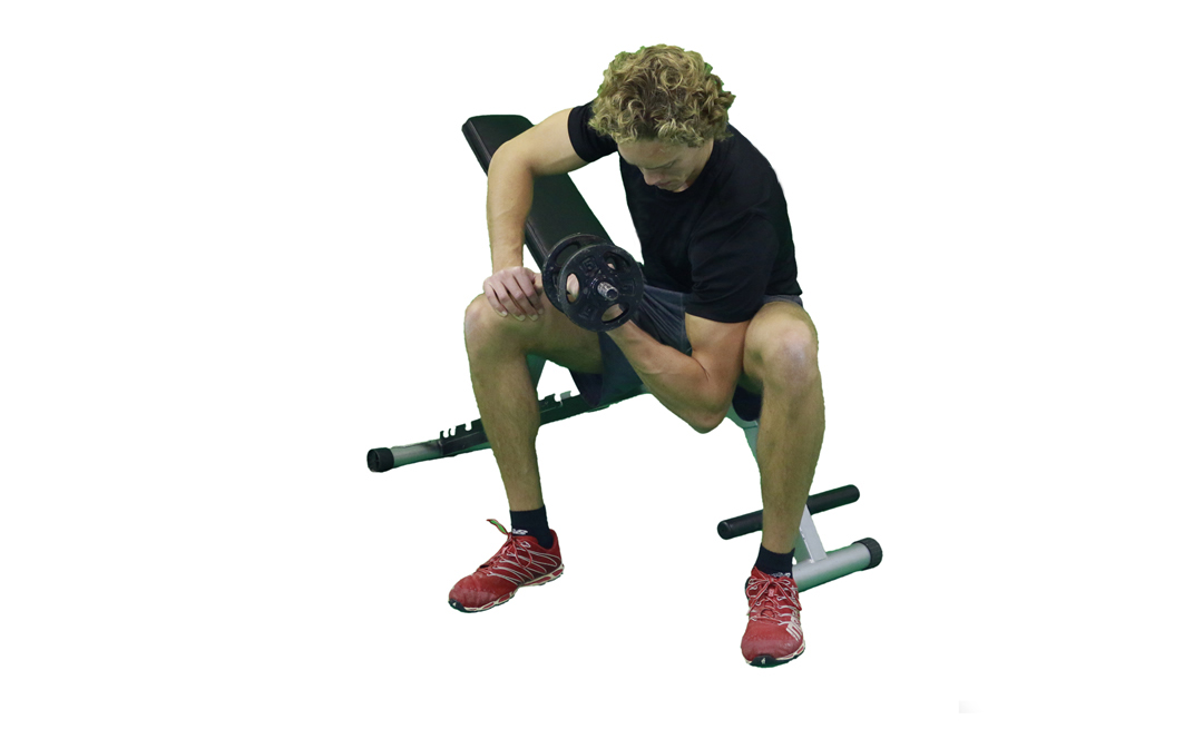 Dumbbell Concentration Curl — demonstration 2