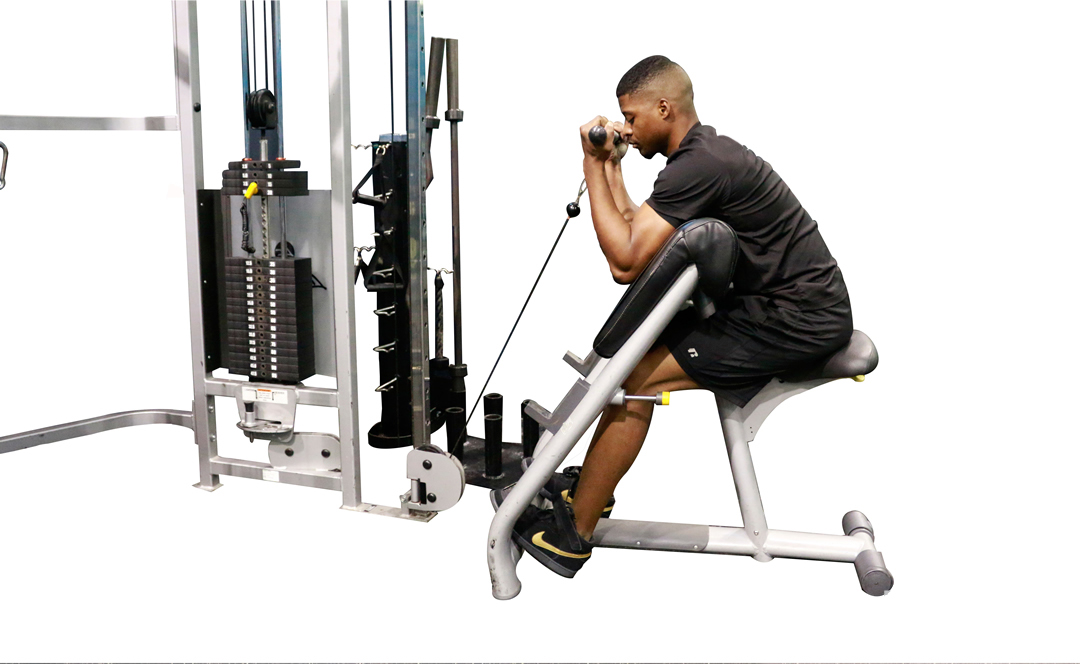 Cable Preacher Curl — demonstration 2