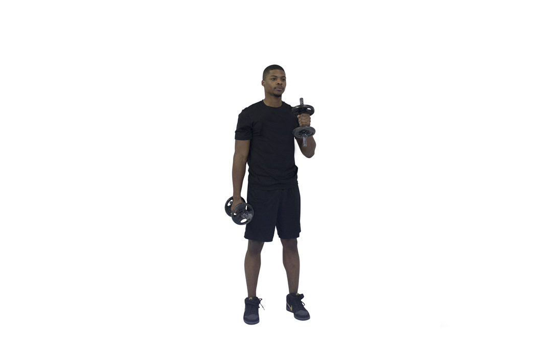 Dumbbell Alternating Hammer Curl — demonstration 2