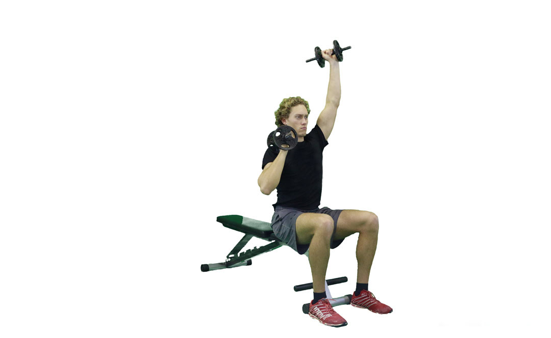 Dumbbell Alternating Press Palms In — demonstration 2