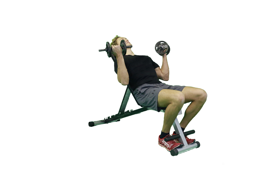 Dumbbell Incline Bench Curl — demonstration 2