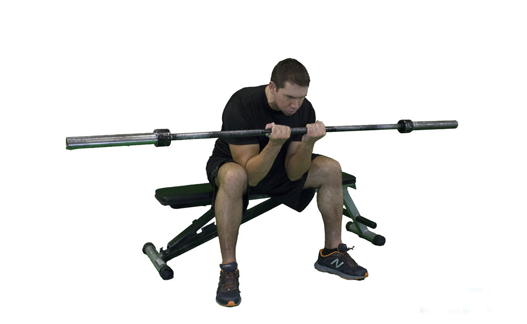 Barbell Concentration Curl Close Grip — demonstration 2