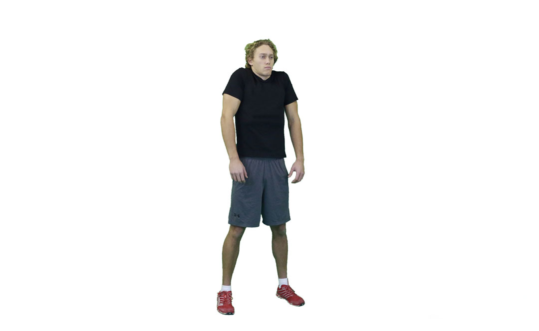 Shoulder Circles — demonstration 2