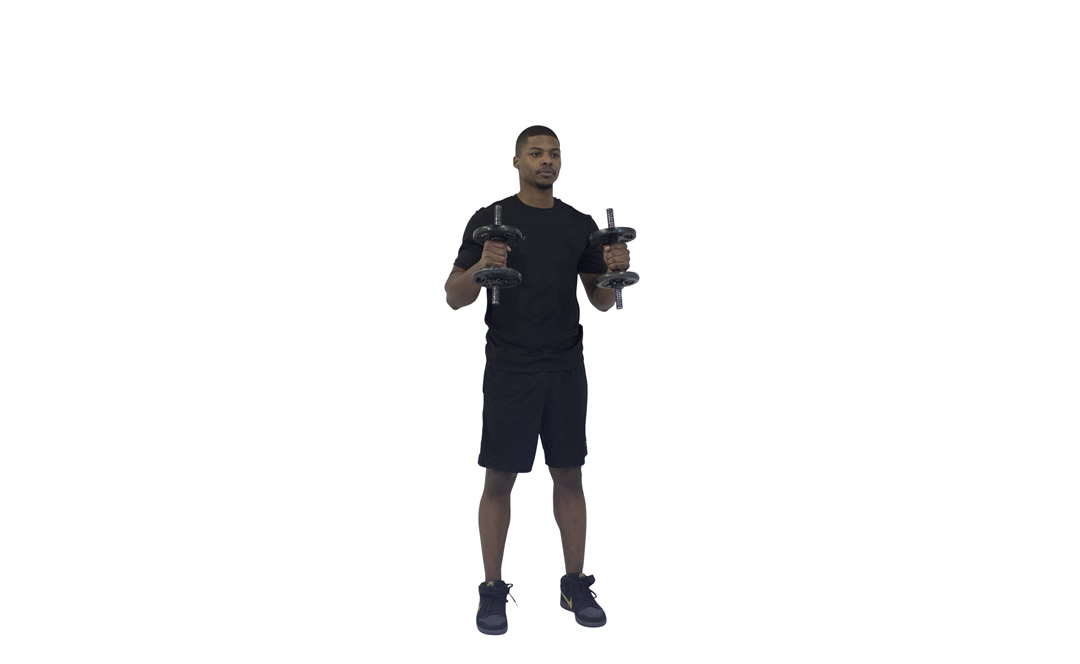 Dumbbell Hammer Curl — demonstration 2
