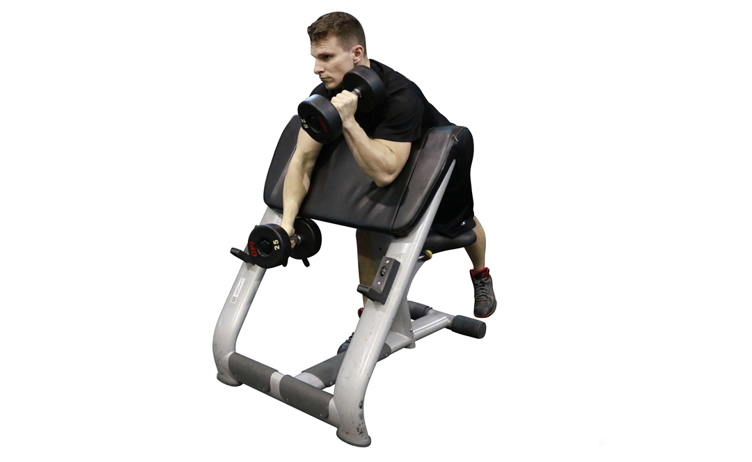 Dumbbell Alternating Preacher Curl Hammer — demonstration 2