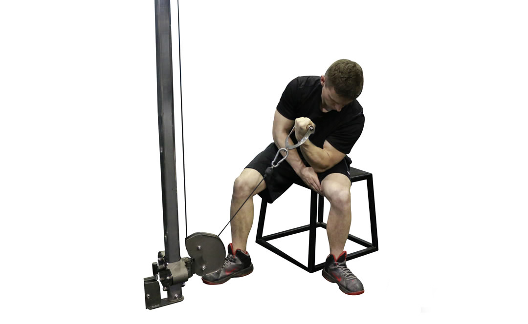 Cable One-Arm Concentration Curl — demonstration 2