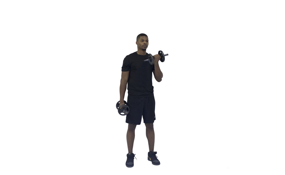 Dumbbell Alternating Bicep Curl — demonstration 2