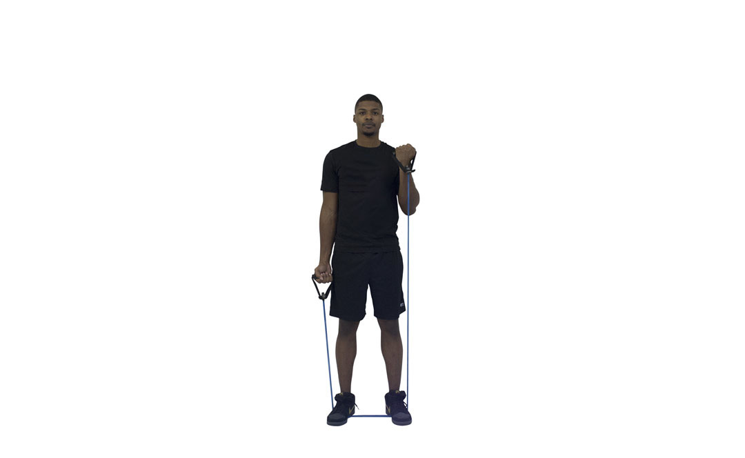Band Bicep Curl — demonstration 2