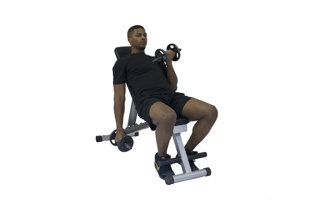 Dumbbell Alternating Incline Curl — demonstration 2