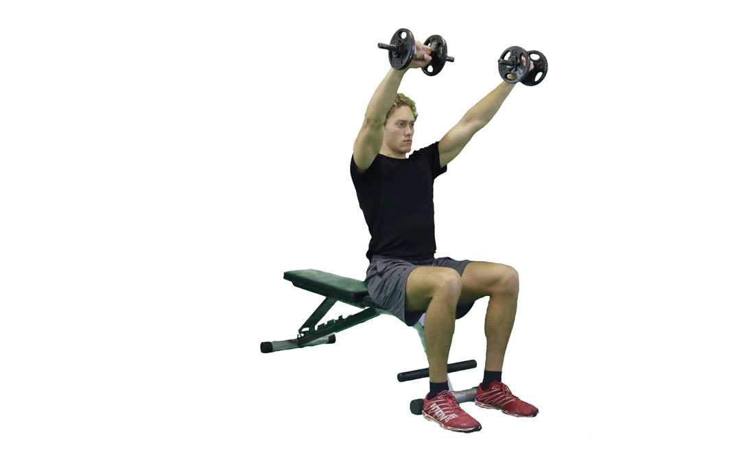 Dumbbell Seated Front Raise — demonstration 2