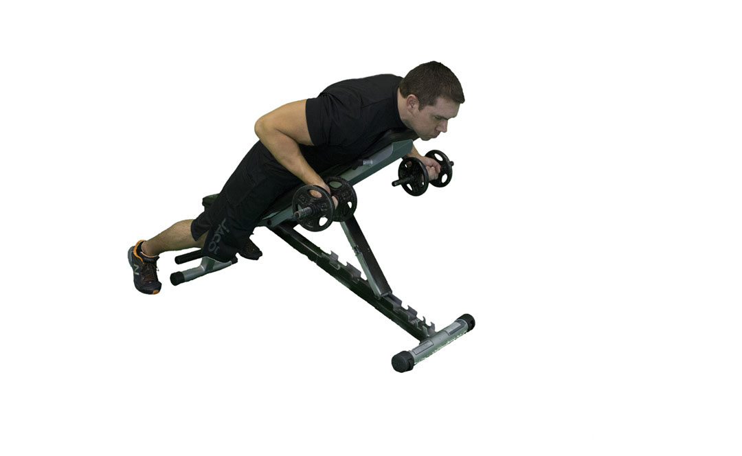 Dumbbell Incline Row Reverse Grip — demonstration 2