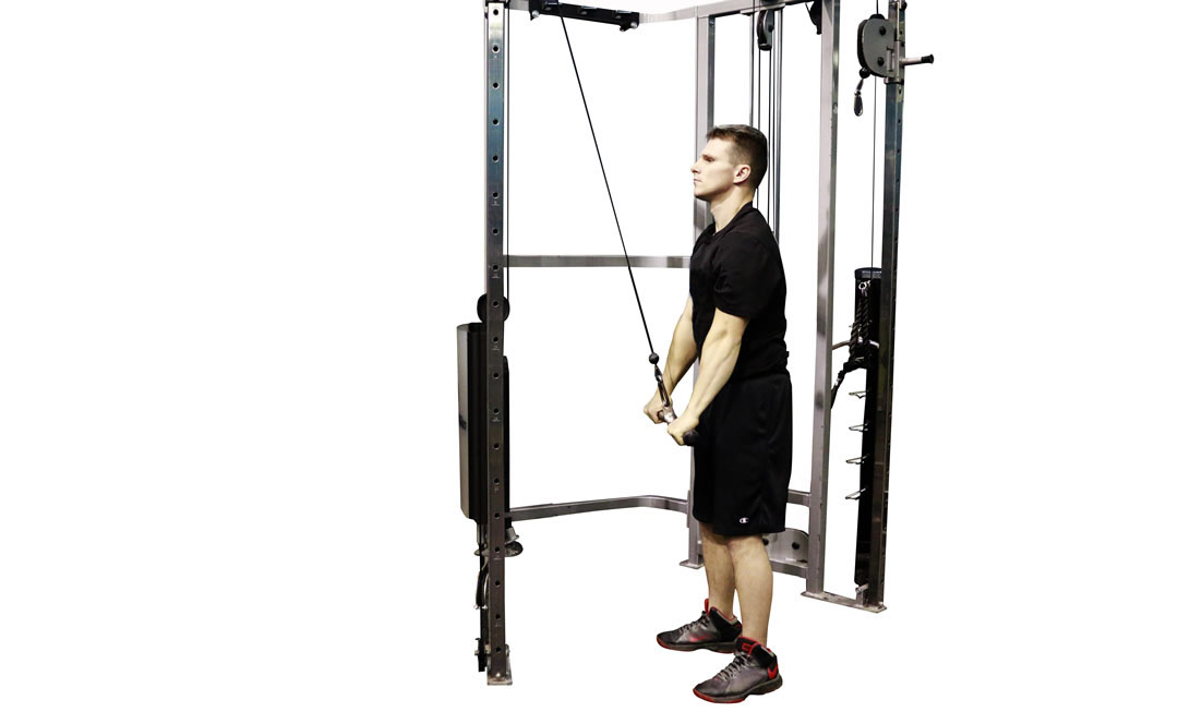 Cable Straight Arm Pushdown — demonstration 2