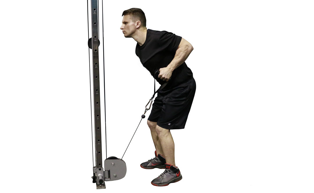 Cable One-Arm Row — demonstration 2