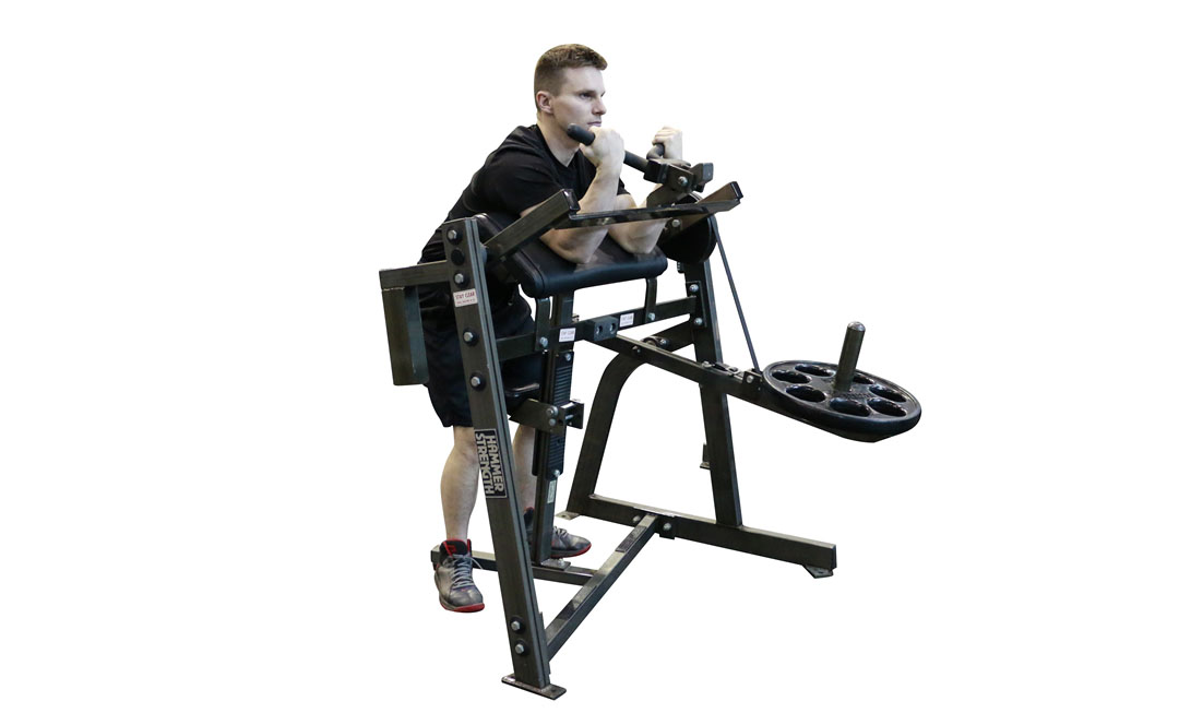 Machine Bicep Curl — demonstration 2