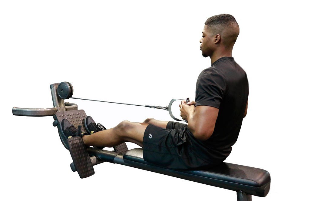 Cable Seated Row — demonstration 2