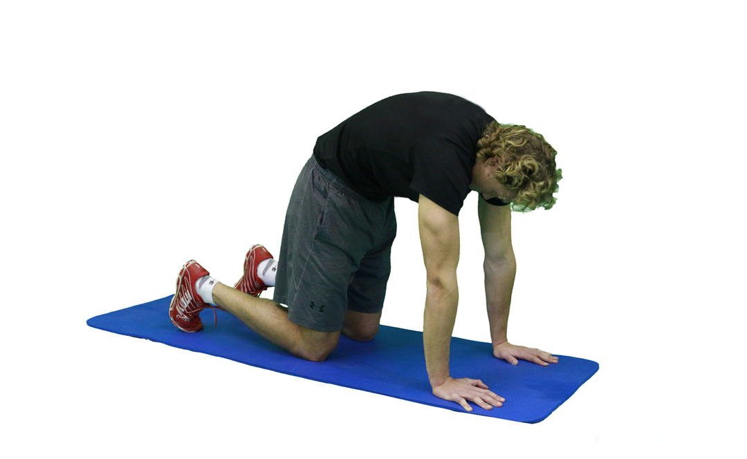 Cat Stretch — demonstration 2