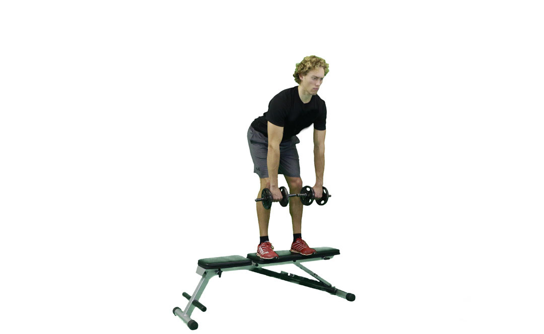 Dumbbell Stiff-Leg Deadlift on Bench — demonstration 2