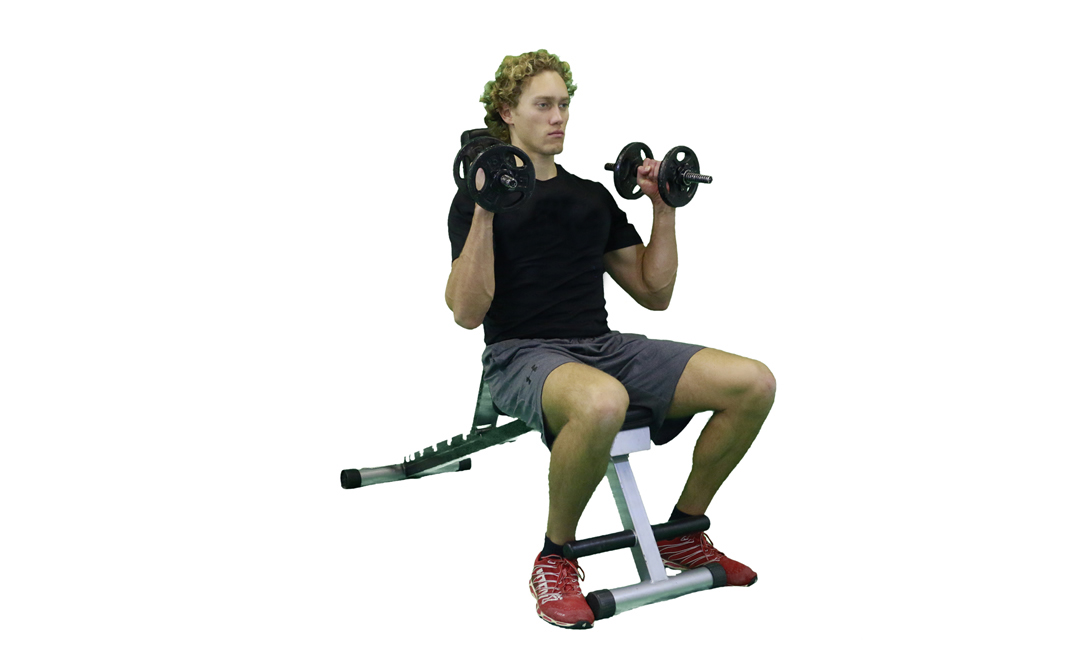 Dumbbell Seated Hammer Curl — demonstration 2