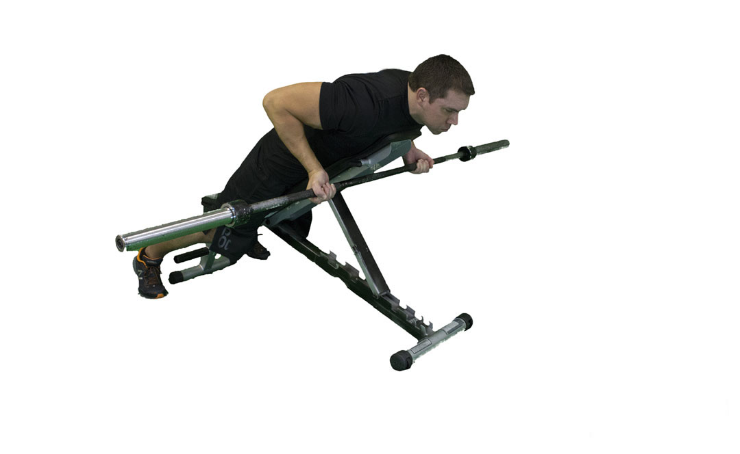 Barbell Incline Row Reverse Grip — demonstration 2