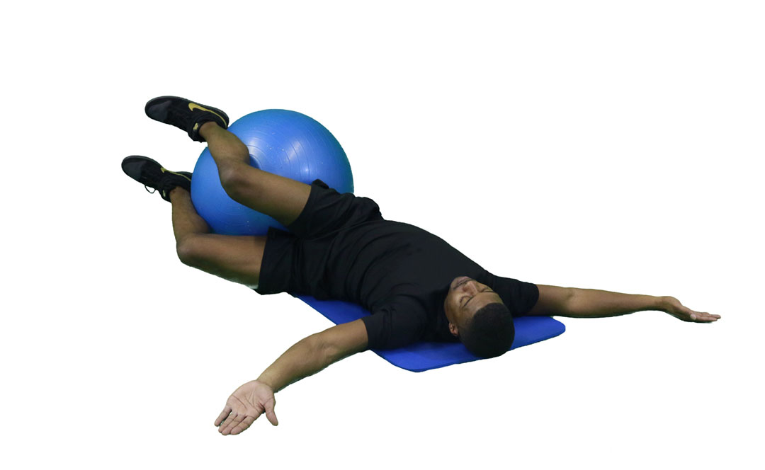 Curl delle Gambe con Fitball in Ponte — dimostrazione 2